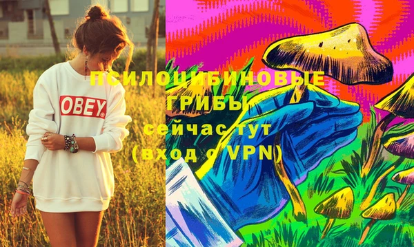 дмт Богородицк