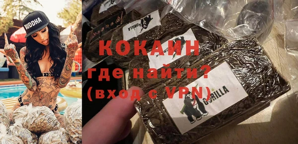 дмт Богородицк