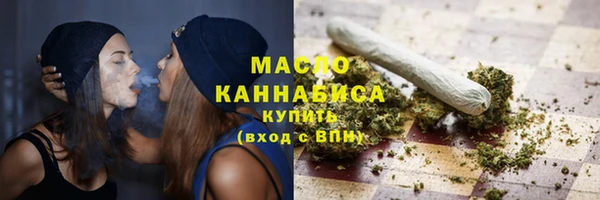 дмт Богородицк