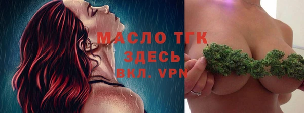 гашиш Богданович