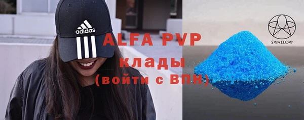 гашиш Богданович