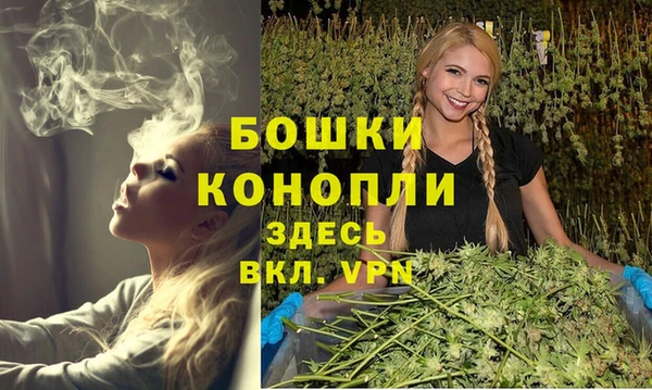 гашиш Богданович