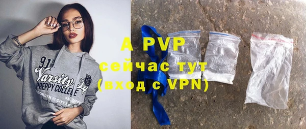 дмт Богородицк