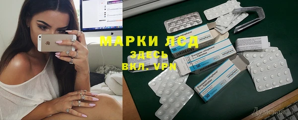 гашиш Богданович